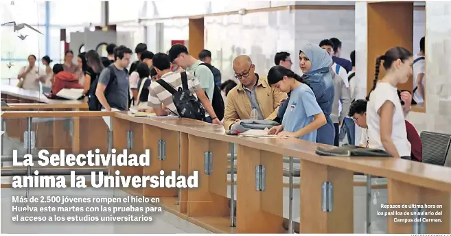 LA SELECTIVIDAD ANIMA LA UNIVERSIDAD