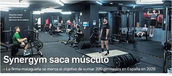SYNERGYM SACA MÚSCULO