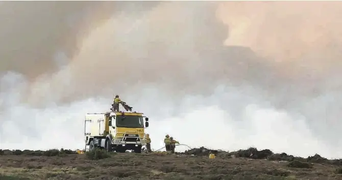 PRIMER RESPIRO EN QUINCE DÍAS