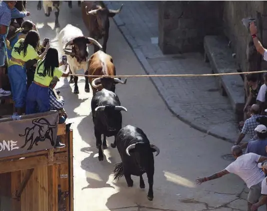 TRAPÍO Y TRADICIÓN EN FERMOSELLE