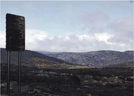 LOS TRES GRANDES INCENDIOS CALCINAN 29.000 HECTÁREAS