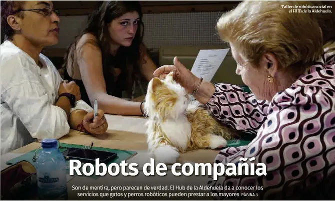 ROBOTS DE COMPAÑÍA