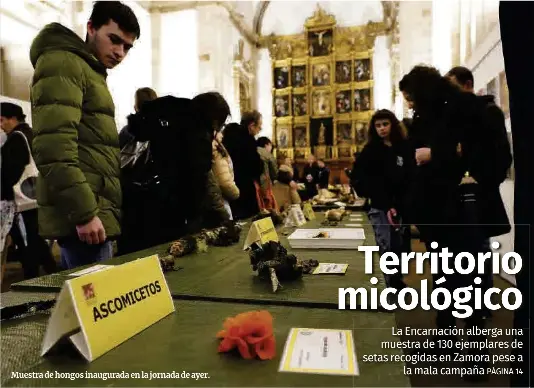 TERRITORIO MICOLÓGICO