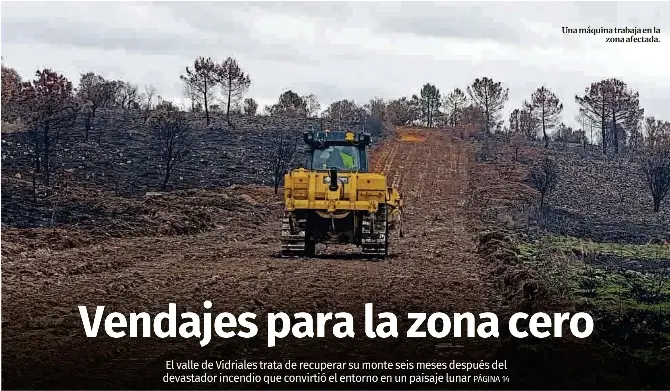 VENDAJES PARA LA ZONA CERO