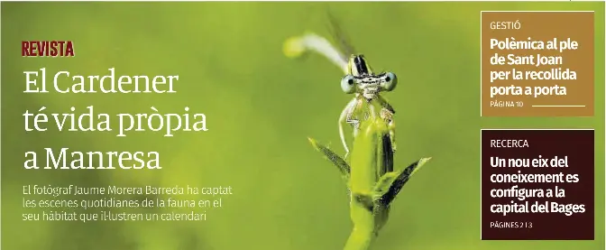 EL CARDENER TÉ VIDA PRÒPIA A MANRESA