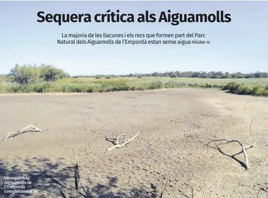 SEQUERA CRÍTICA ALS AIGUAMOLLS