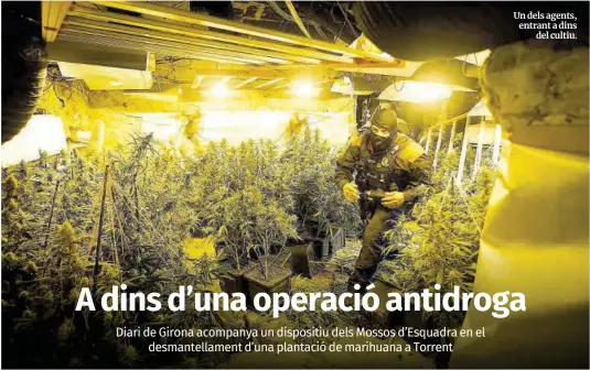 A DINS D’UNA OPERACIÓ ANTIDROGA