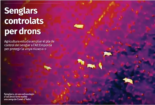 SENGLARS CONTROLATS PER DRONS