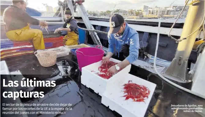 LAS ÚLTIMAS CAPTURAS