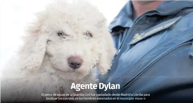 AGENTE DYLAN