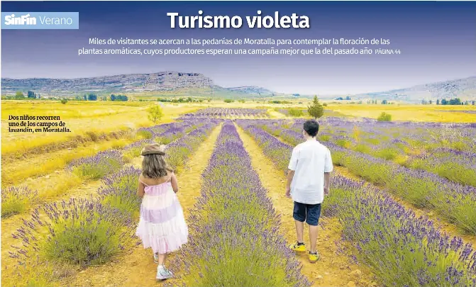 TURISMO VIOLETA