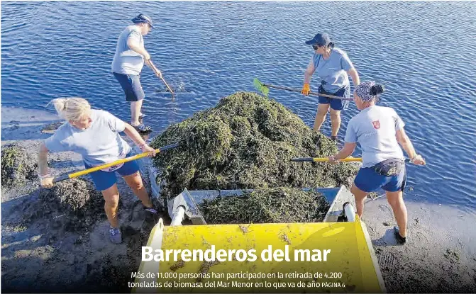BARRENDEROS DEL MAR