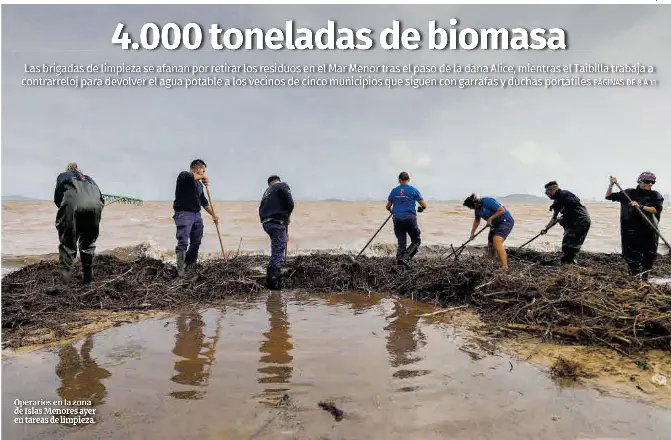 4.000 TONELADAS DE BIOMASA