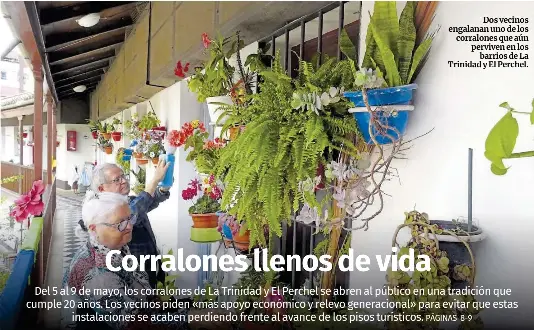 CORRALONES LLENOS DE VIDA