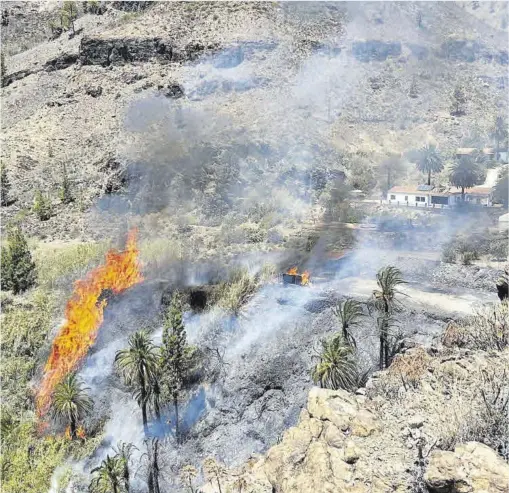 EL PALMERAL DE FATAGA ARDE CON EL PRIMER INCENDIO DEL VERANO