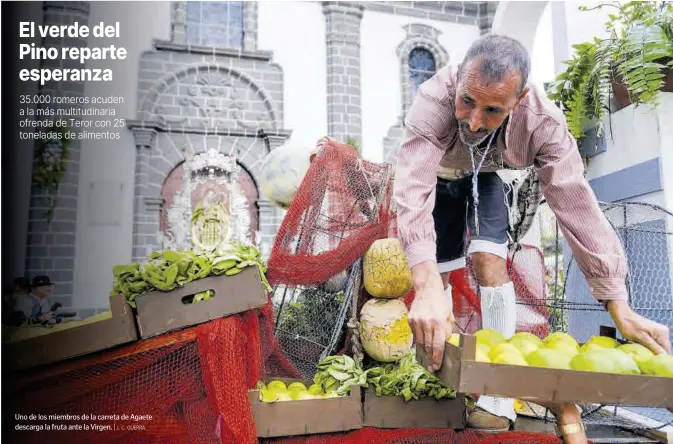 EL VERDE DEL PINO REPARTE ESPERANZA