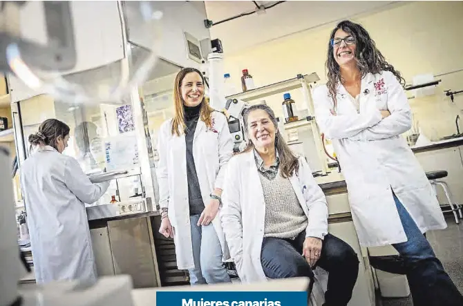 EMPRESARIOS Y SINDICATOS AVALAN EL ‘DECRETO CANARIAS’