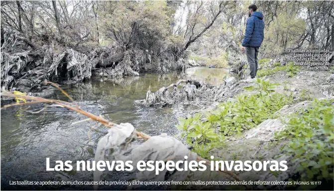 LAS NUEVAS ESPECIES INVASORAS