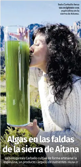 ALGAS EN LAS FALDAS DE LA SIERRA DE AITANA