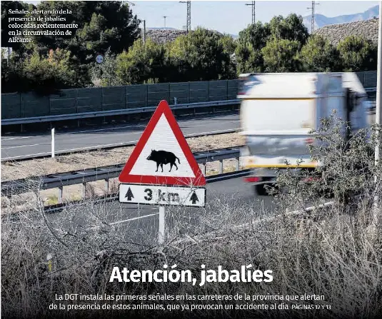 ATENCIÓN, JABALÍES