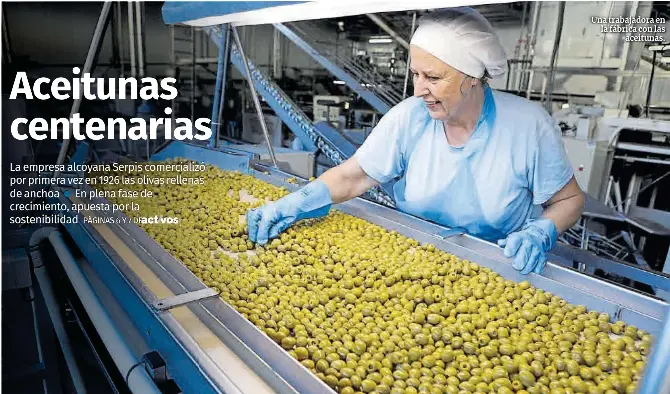 ACEITUNAS CENTENARIAS