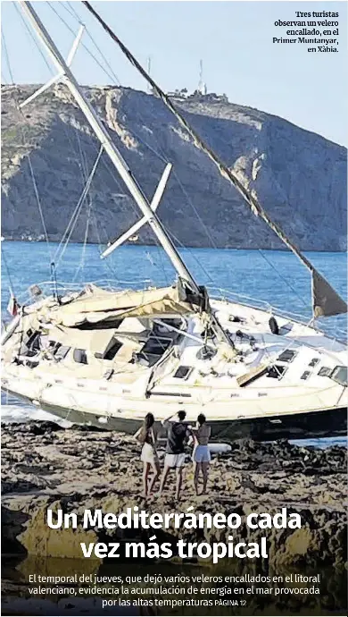 UN MEDITERRÁNEO CADA VEZ MÁS TROPICAL