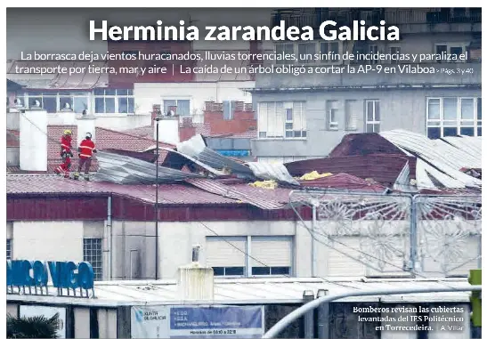 HERMINIA ZARANDEA GALICIA