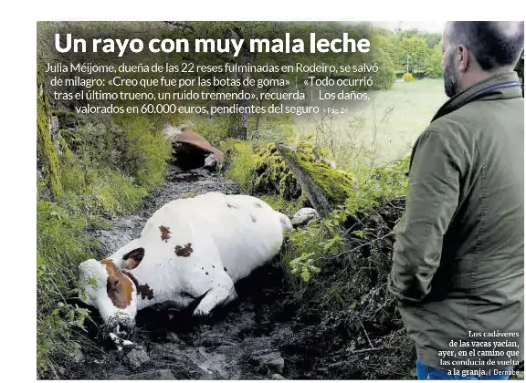UN RAYO CON MUY MALA LECHE