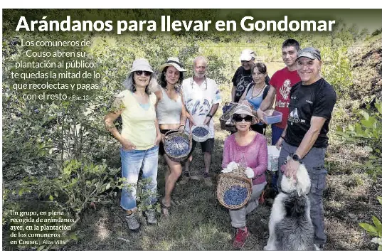 ARÁNDANOS PARA LLEVAR EN GONDOMAR