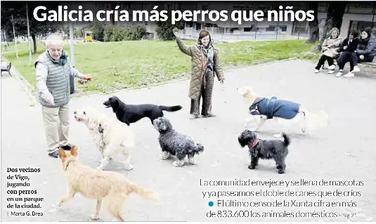 GALICIA CRÍA MÁS PERROS QUE NIÑOS