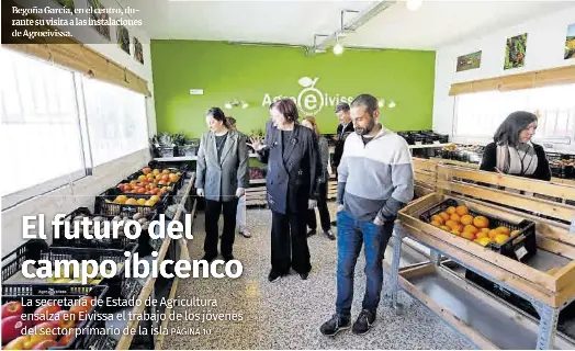 EL FUTURO DEL CAMPO IBICENCO