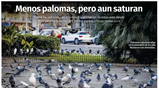 MENOS PALOMAS, PERO AUN SATURAN