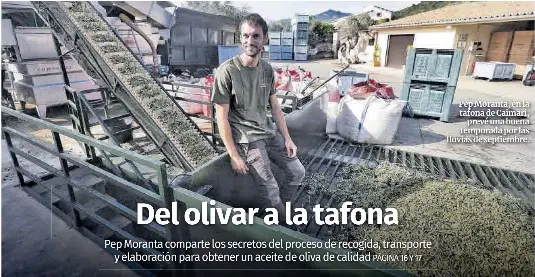 DEL OLIVAR A LA TAFONA