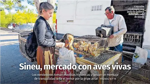 SINEU, MERCADO CON AVES VIVAS