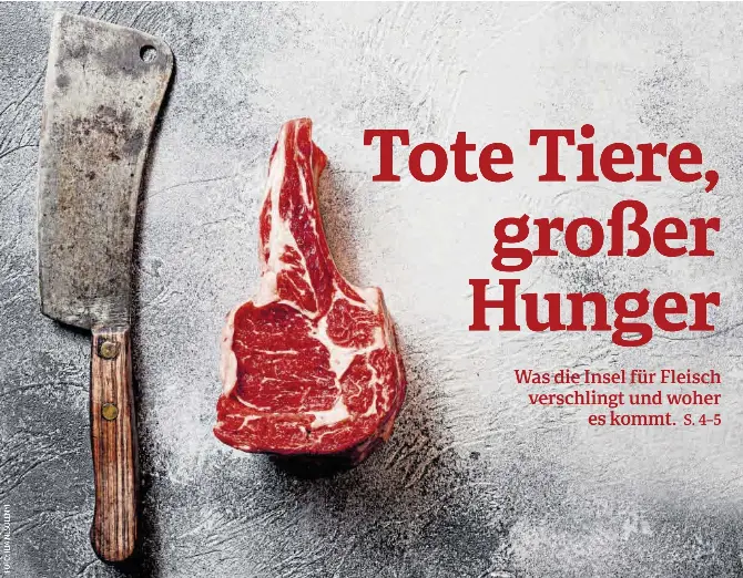 TOTE TIERE, GROßER HUNGER
