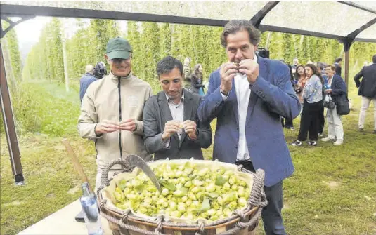 UNA CERVEZA CULTIVADA EN ABEGONDO