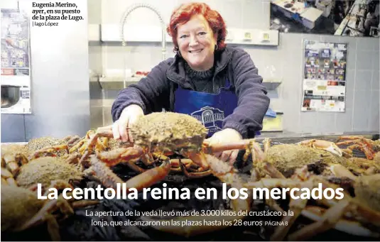 LA CENTOLLA REINA EN LOS MERCADOS