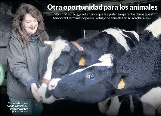 OTRA OPORTUNIDAD PARA LOS ANIMALES