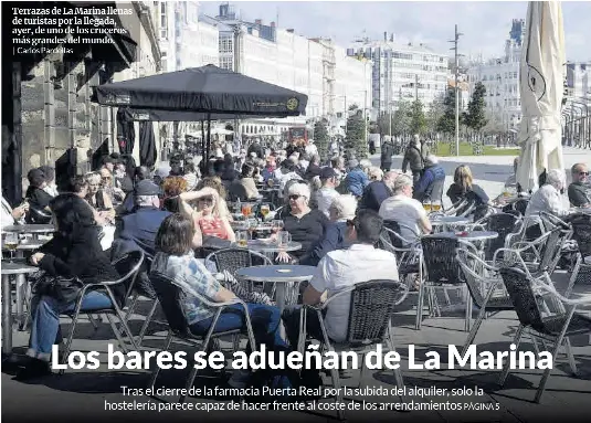 LOS BARES SE ADUEÑAN DE LA MARINA