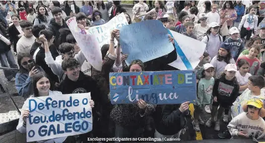 UNHA ANDAINA EN DEFENSA DO GALEGO
