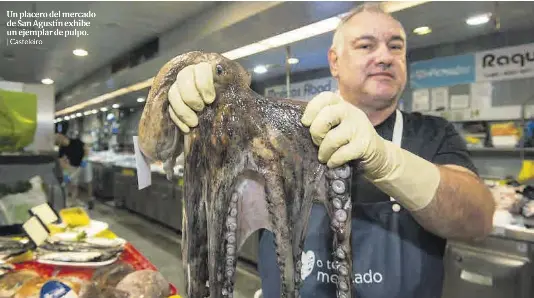 EL PULPO REGRESA A LAS PLAZAS