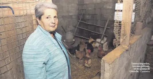 PEQUEÑAS GRANJAS CONFINADAS