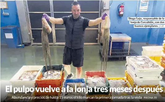 EL PULPO VUELVE A LA LONJA TRES MESES DESPUÉS