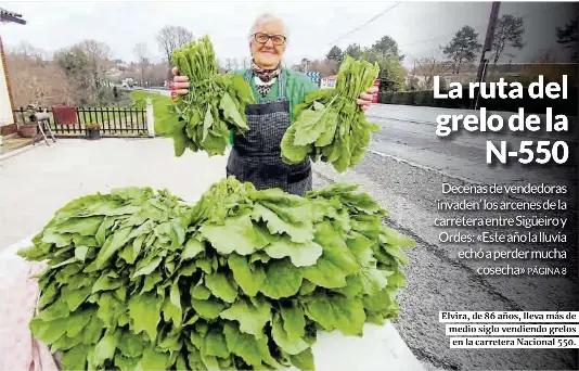 LA RUTA DEL GRELO DE LA N-550