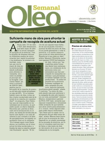 Oleo Boletín - 9 Jan 2019