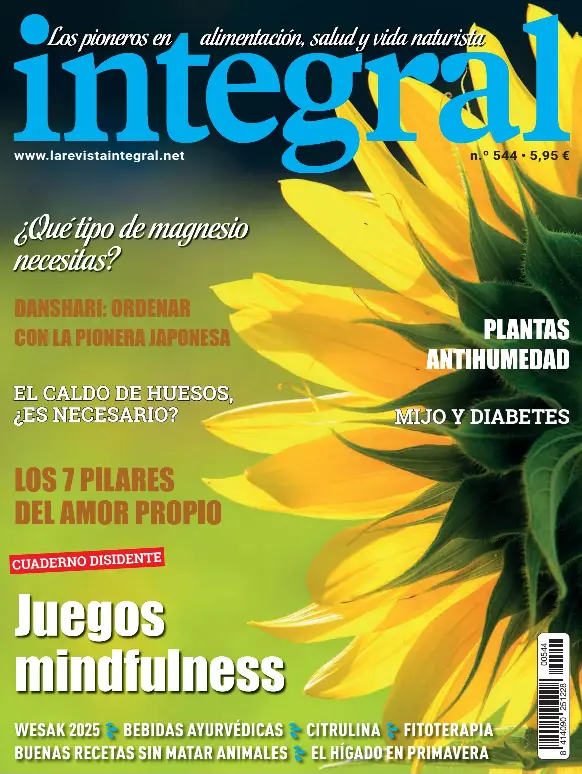 JUEGOS MINDFULNESS