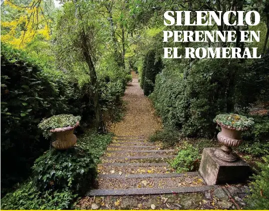 SILENCIO PERENNE EN EL ROMERAL