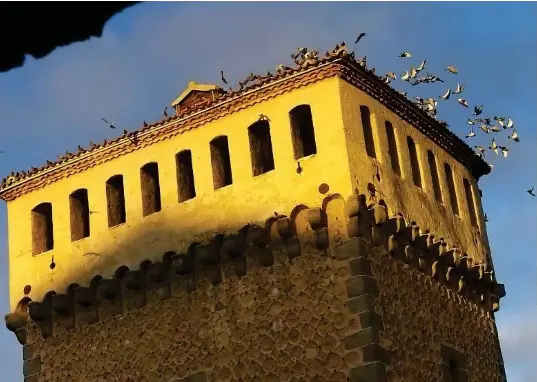 UN ‘PALOMAR’ EN EL TORREÓN