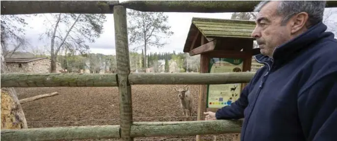 LA PRIMAVERA DISPARARÁ LAS VISITAS AL ZOO