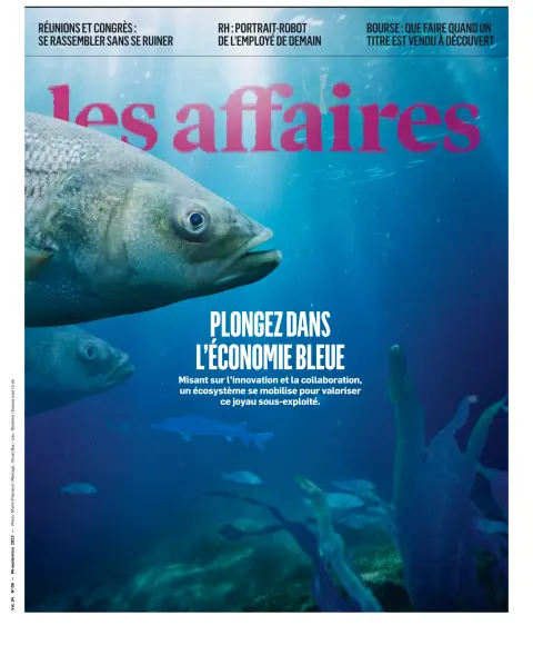 Les Affaires
